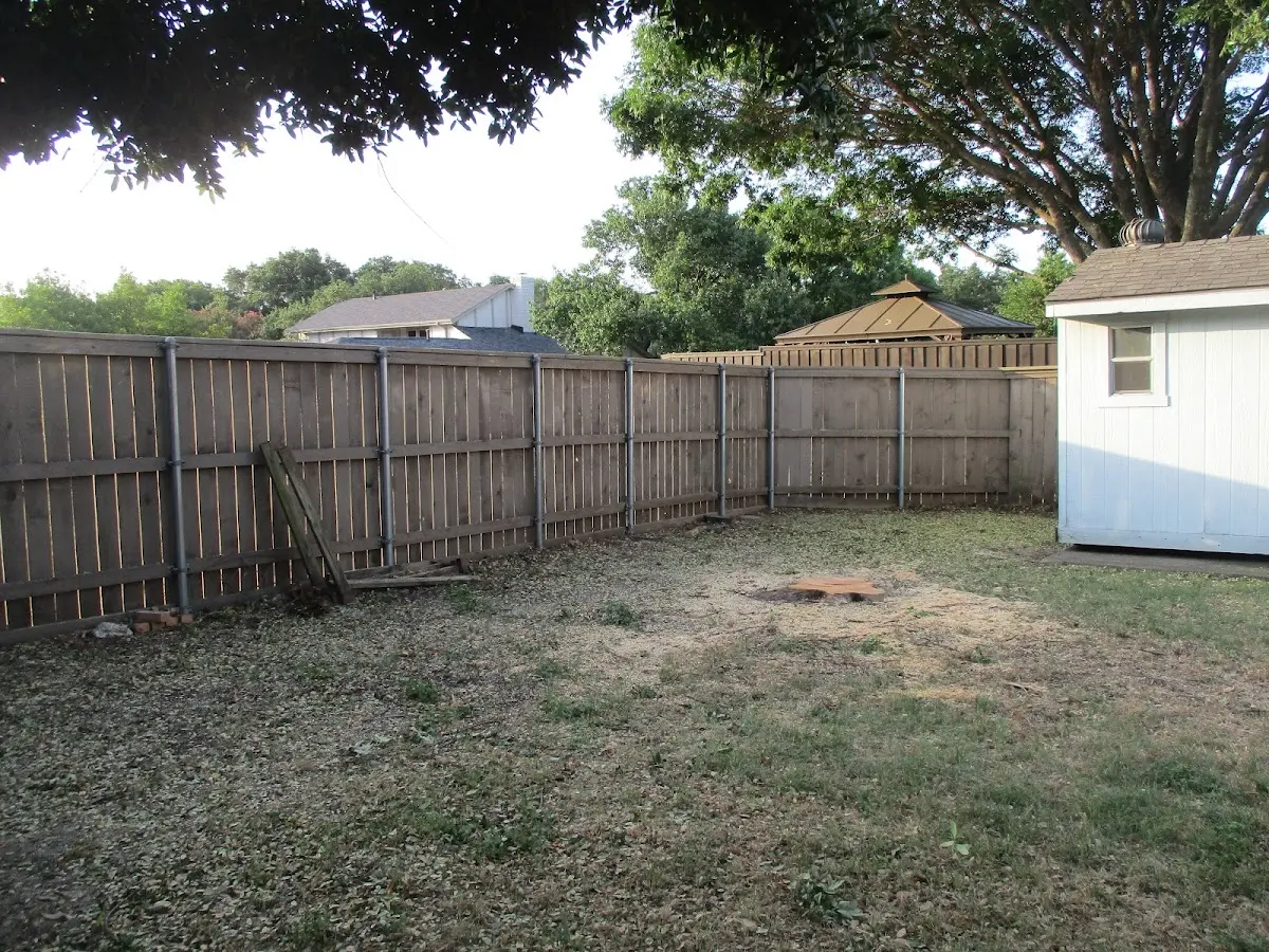 Cleared yard after professional tree removal in Roxie